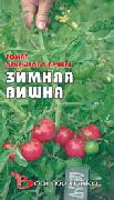 Зимняя вишня сорт томатов (помидоров)