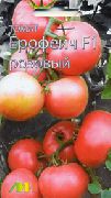 Ерофеич розовый F1 (селекция Мязиной Л.А.) сорт томатов (помидоров)