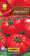 Павлин F1 сорт томатов (помидоров)