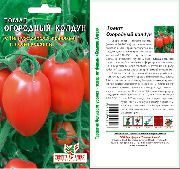 Огородный колдун сорт томатов (помидоров)