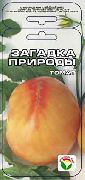 Загадка природы сорт томатов (помидоров)