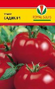 Садик F1  сорт томатов (помидоров)
