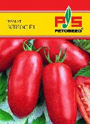 Элиос F1  сорт томатов (помидоров)