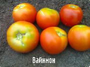 Вайнмон плюс  сорт томатов (помидоров)