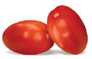 Калиста  сорт томатов (помидоров)
