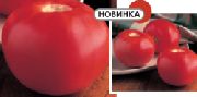 Калисти F1 сорт томатов (помидоров)