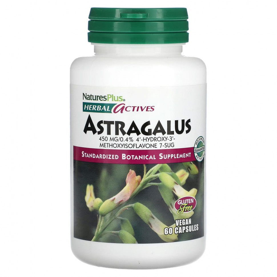 NaturesPlus, Herbal Actives, , 450 , 60    4500