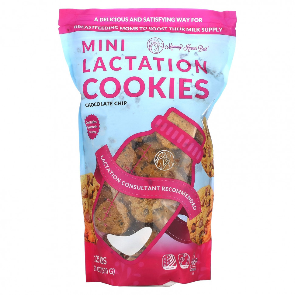 Mommy Knows Best, Mini Lactation Cookies, Chocolate Chip, 10 oz (570 g)  4870