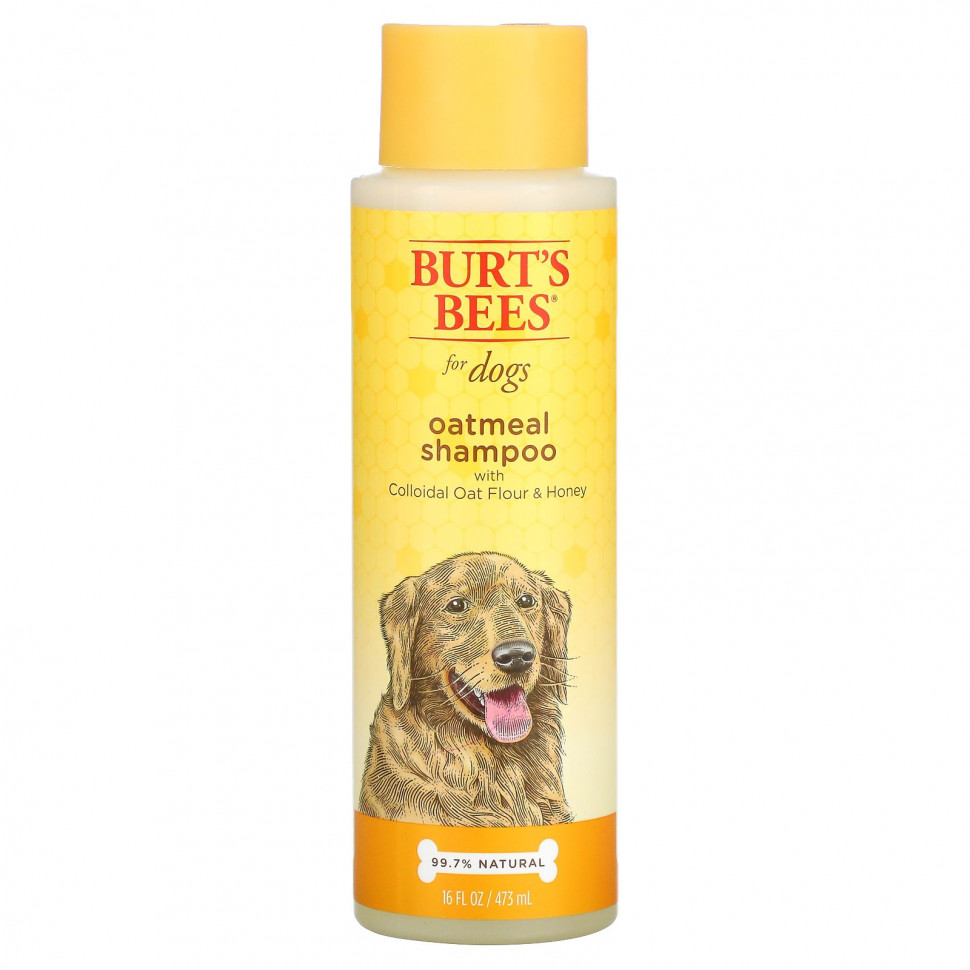 Burt's Bees, Oatmeal Shampoo for Dogs, Colloidal Oat Flour & Honey, 16 fl oz (473 ml)  1870