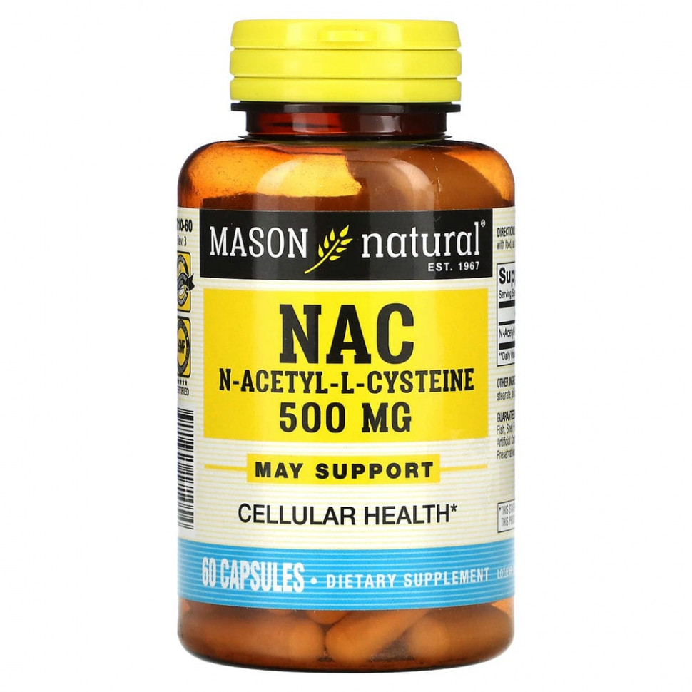 Mason Natural, NAC N--L-, 60   2170