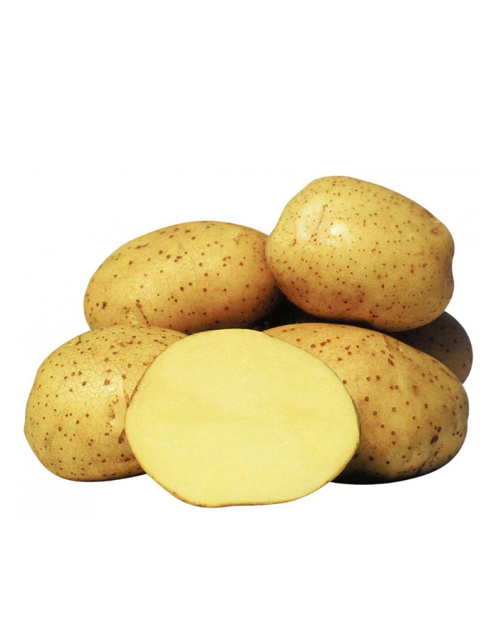 Картофель Колетте, РС1 2 кг  320р