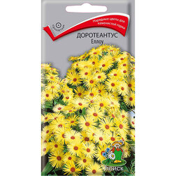 ���� ����������� �����, ����, ������ ������ �� 27.2 ���