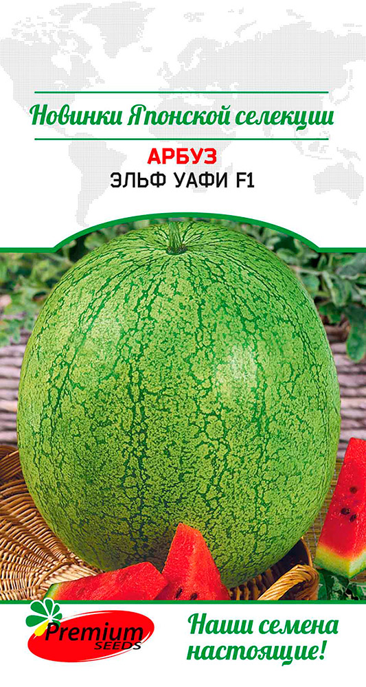  Premium seeds    F1, 5 . Sakata  149