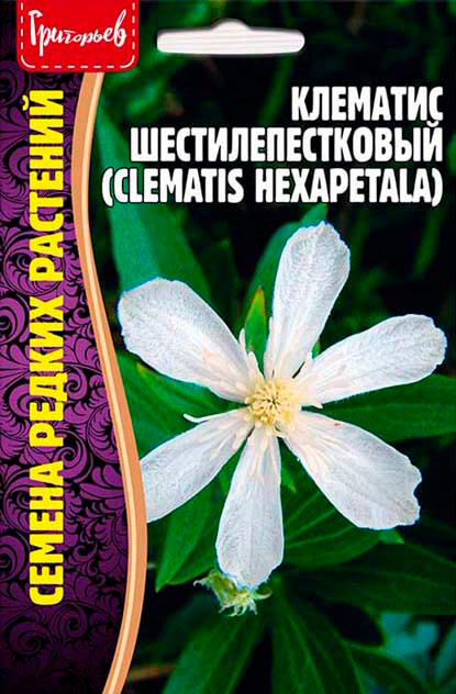      (Clematis hexapetala), 10 .   , ,    125 