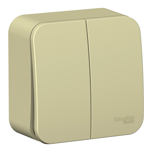 ���� ����������� 2-��������� SYSTEME ELECTRIC Blanca 10A �������, ����, ������ ������ �� 256 ���