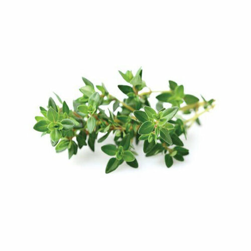 Click And Grow   Click And Grow Thyme 3 .    Click And Grow  2484