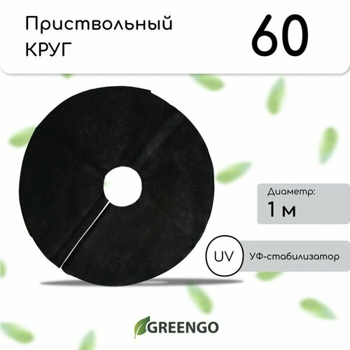  , d = 1 ,  60 /?,   -,  2 , , Greengo,  20%, ,    501 