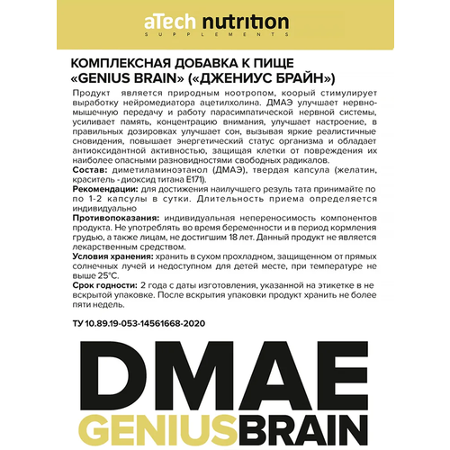 DMAE Genius Brain ., 90 . 604