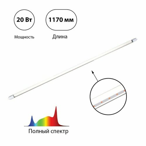 INhome  , 20 , 1200 ,  G13,  , LED-T8-FITO, IN HOME 893