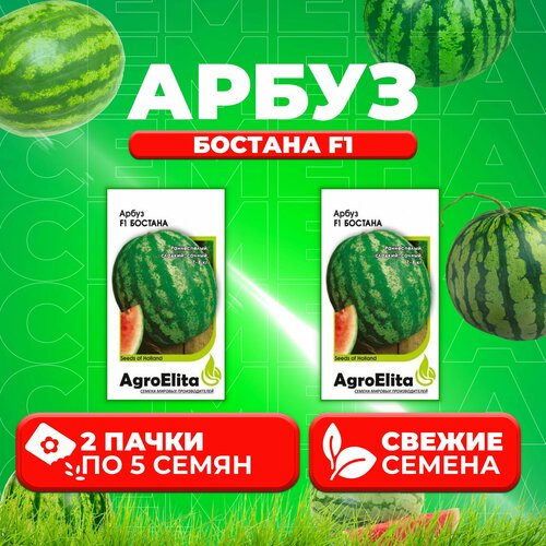   F1, 5, AgroElita (2 ), ,    470 