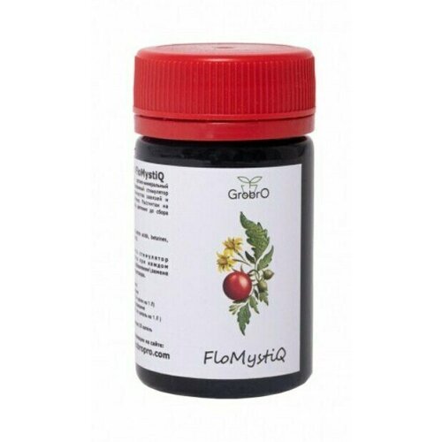 GroBro FloMystiQ    100 1700