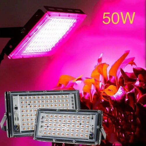  50 .         ,  ,   LED   , ,    1290 