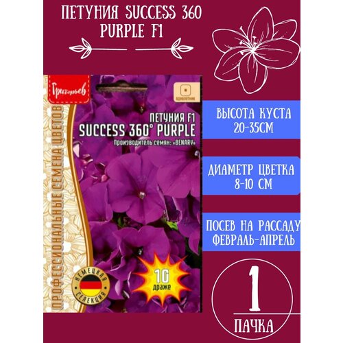  SUCCESS 360 Purple F1 1 233