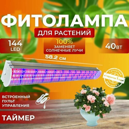               40  144 LED 3900