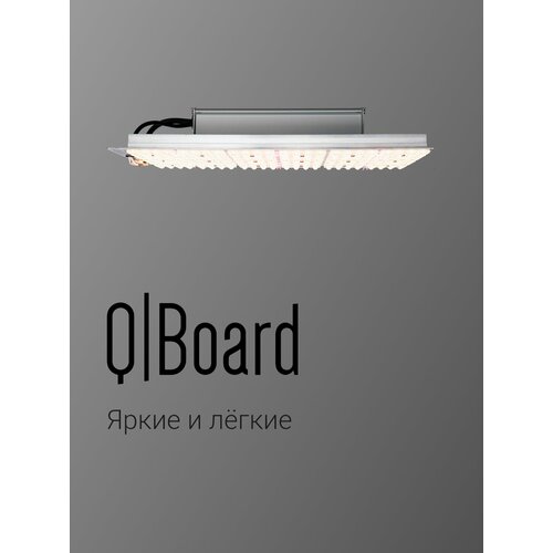 LED ���������� Quantum Just Grow 96W, ����, ������ ������ �� 24990 ���