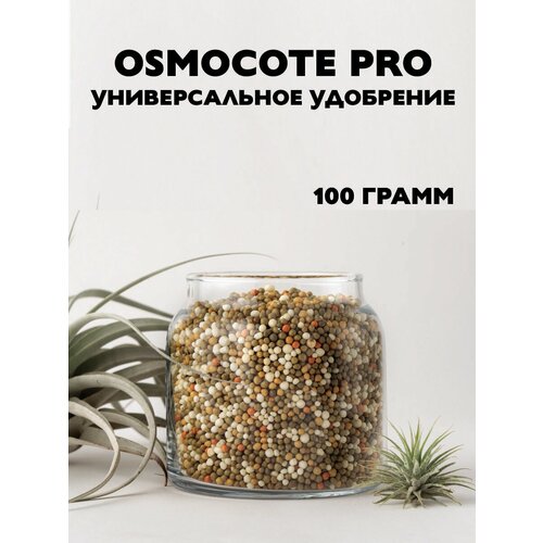   Osmocote PRO (5-6), 100 445