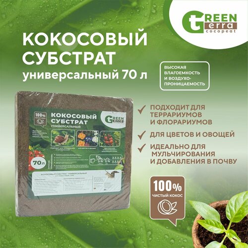    70  Green Terra 1299