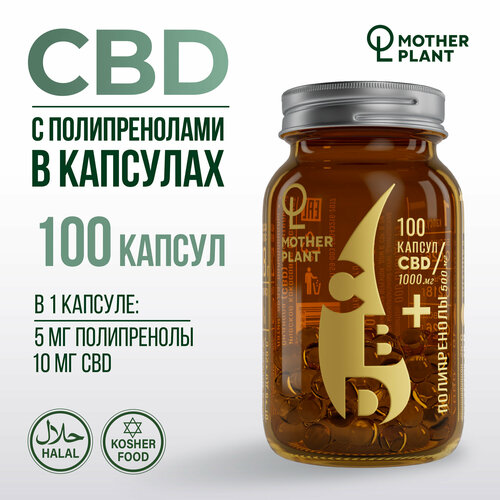  CBD     (100   10 ), Motherplant 3600