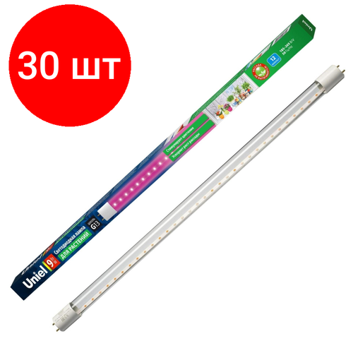  30 ,  Uniel LED-T8-9W/SPSB/G13/CL PLP30WH  T8,  20175