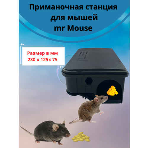 Mr. Mouse    , ,    230 