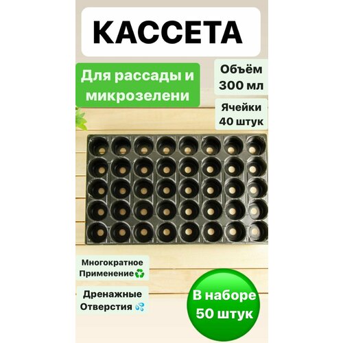����� ������ ��� ������� �� 40 �����, 50 ���� � ������, ����, ������ ������ �� 4400 ���