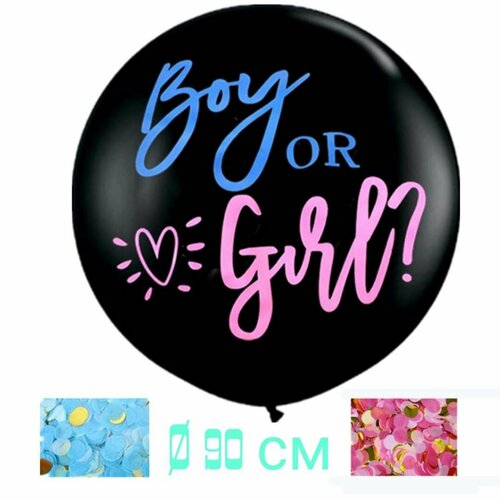     Gender Reveal Party      330