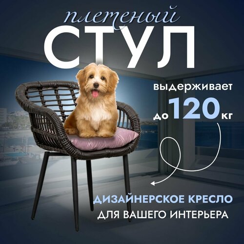 ������� ������ ������ 1 ��, ����, ������ ������ �� 10990 ���