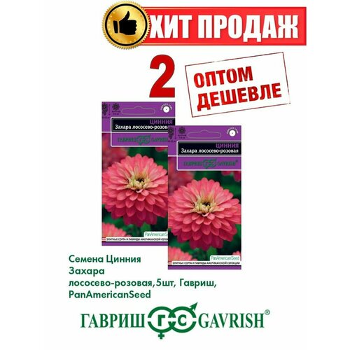   -, 5, PanAmericanSeed(2), ,    500 