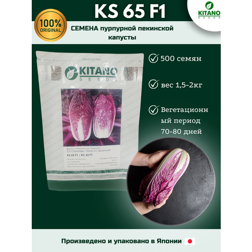 KS 65 F1-  , , 500 , Kitano seeds/  () 2109