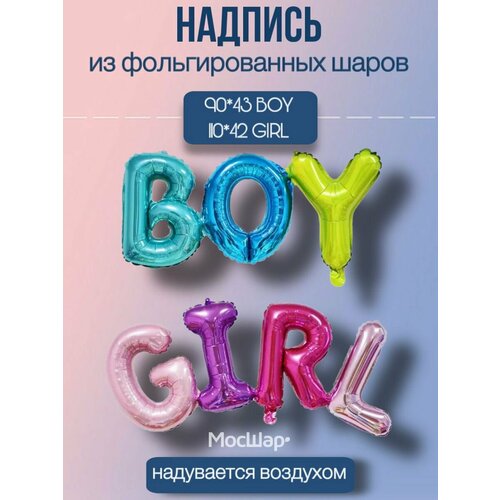      Boy or Girl 377