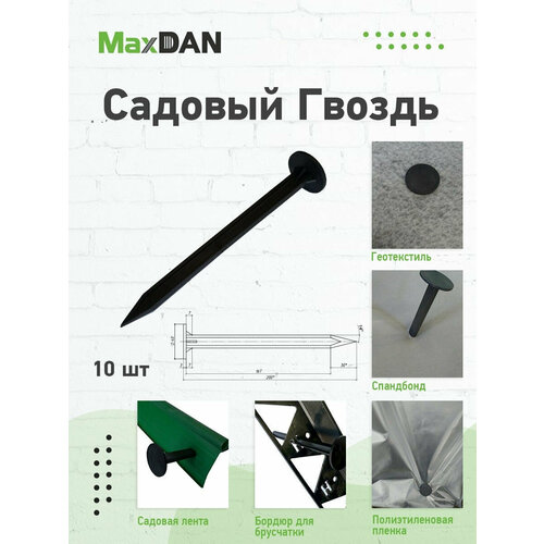        MaxDan, 10  250