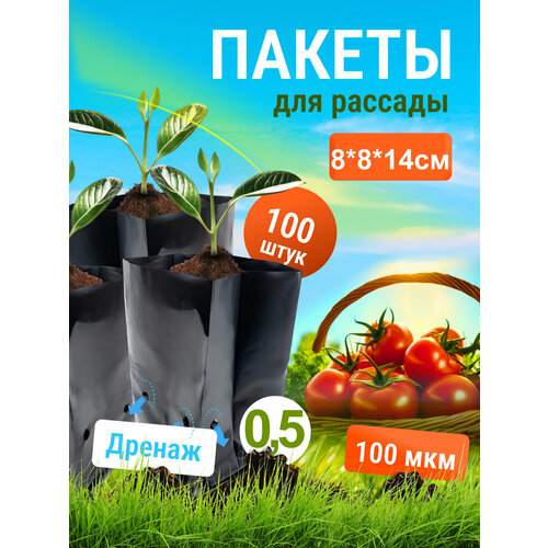 ����� ��� ������� 0,5�. 100��., ����, ������ ������ �� 375 ���