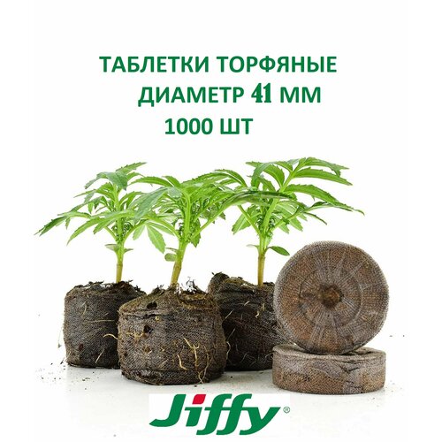�������� ��������, ����, ������ ������ �� 17000 ���