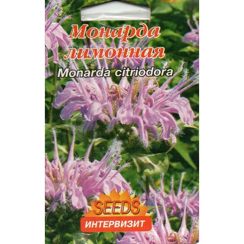   (Monarda citriodora) 250