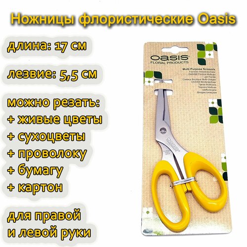    Oasis Multi Purpose Scissor, 17. 3200