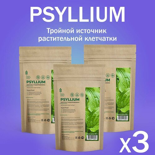 PSYLLIUM superfood          975