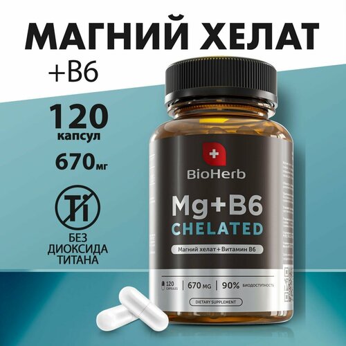 BioHerb MAGNESIUM + B6 ( + 6) , 120 , ,    799 