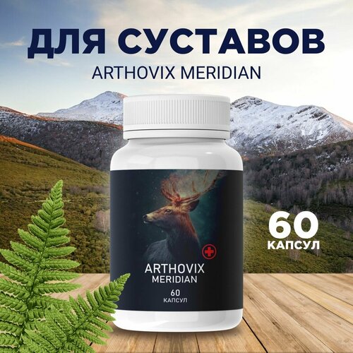     Arthovix Meridian 495