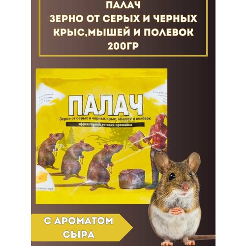 ����� �� ���� � ����� 200��, ����, ������ ������ �� 170 ���