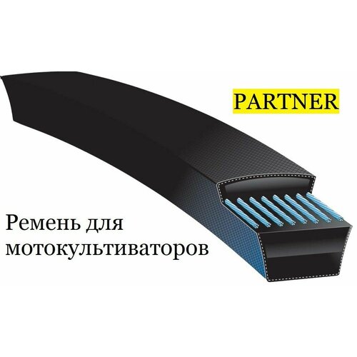       PARTNER 647